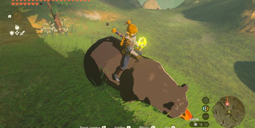 Every Creature You Can Mount In The Legend Of Zelda: Tears Of The ...