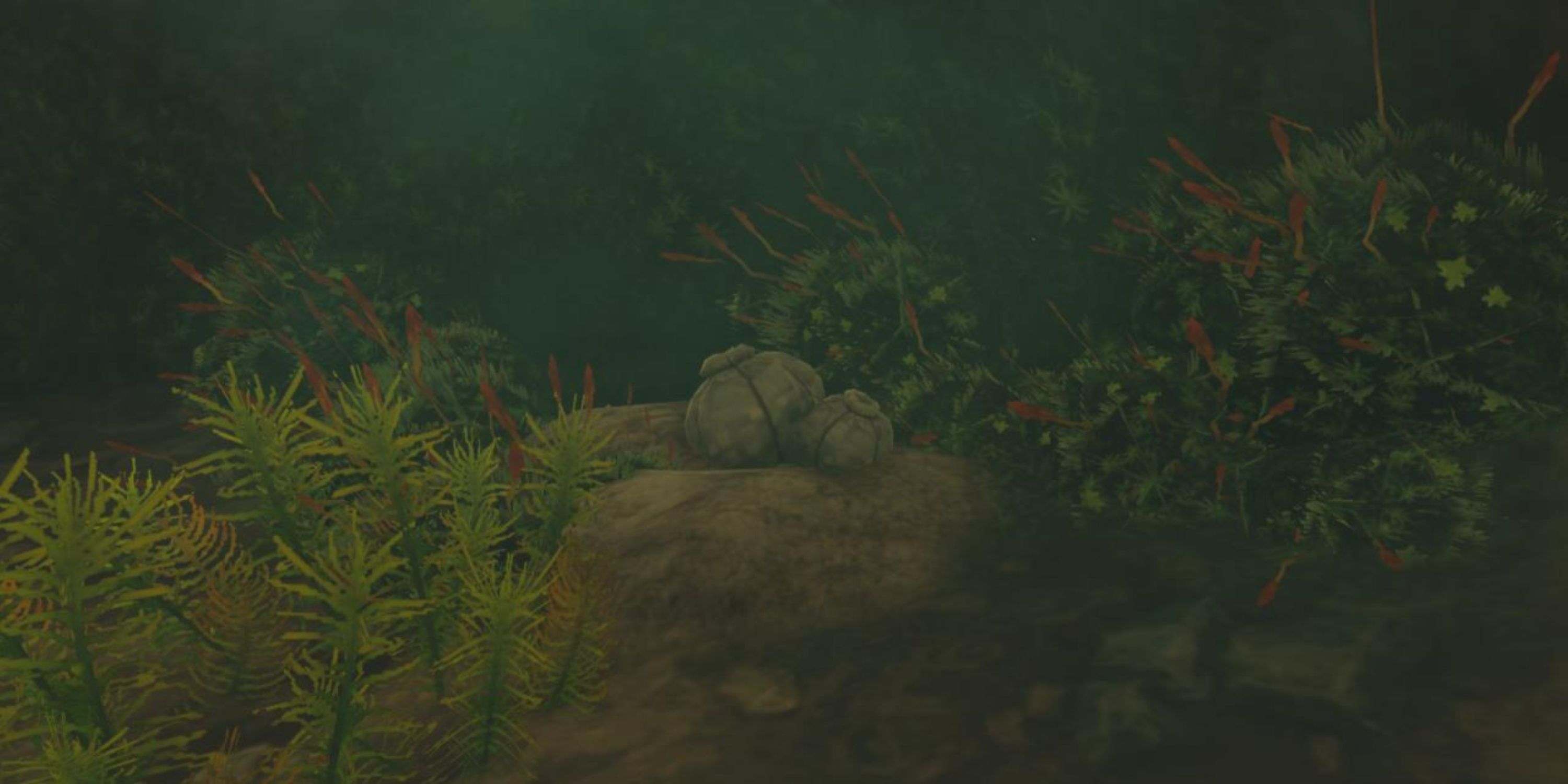 How To Farm Hearty Items In Tears Of The Kindgom