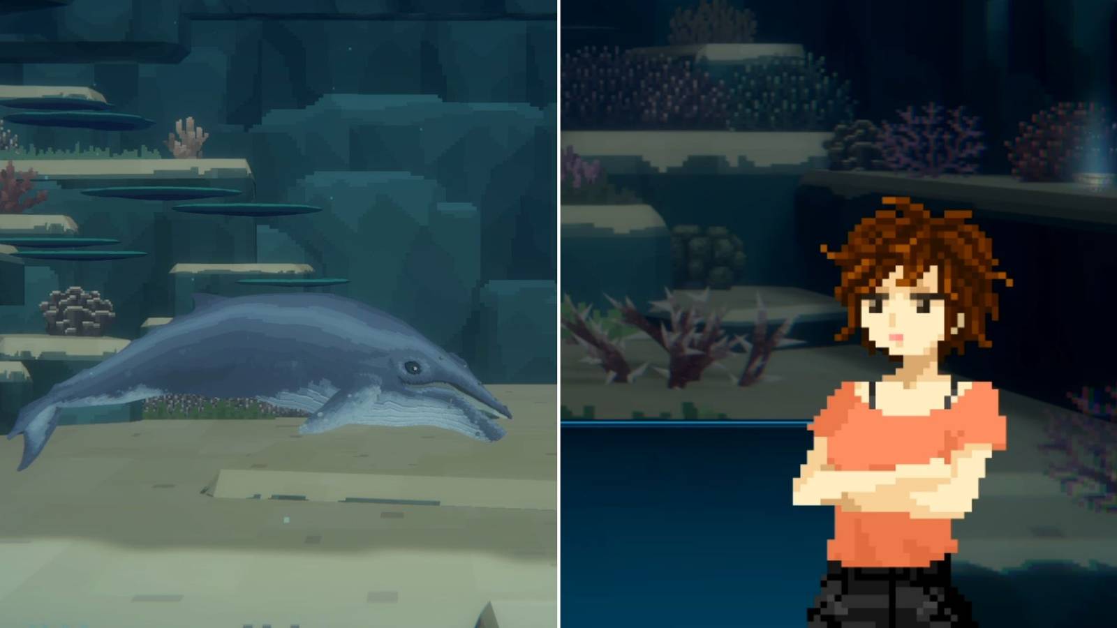 How To Find The Baby Whale In Dave The Diver