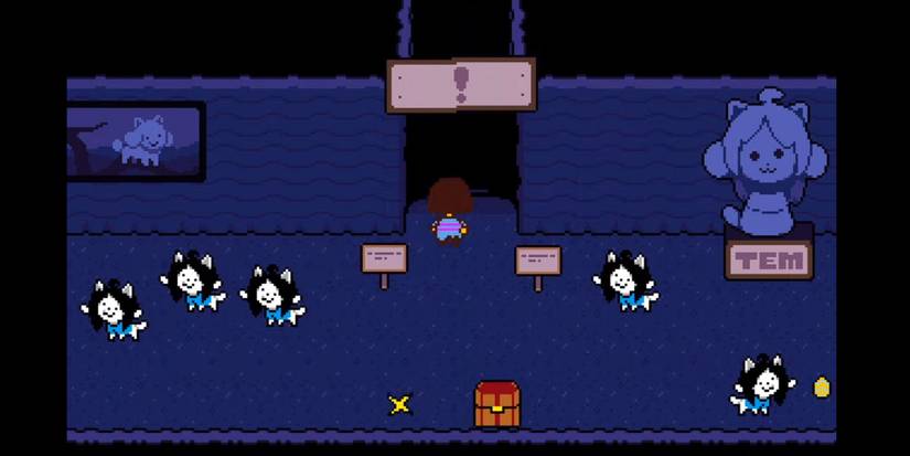 Entering The Shop In Temmie Village in Undertale