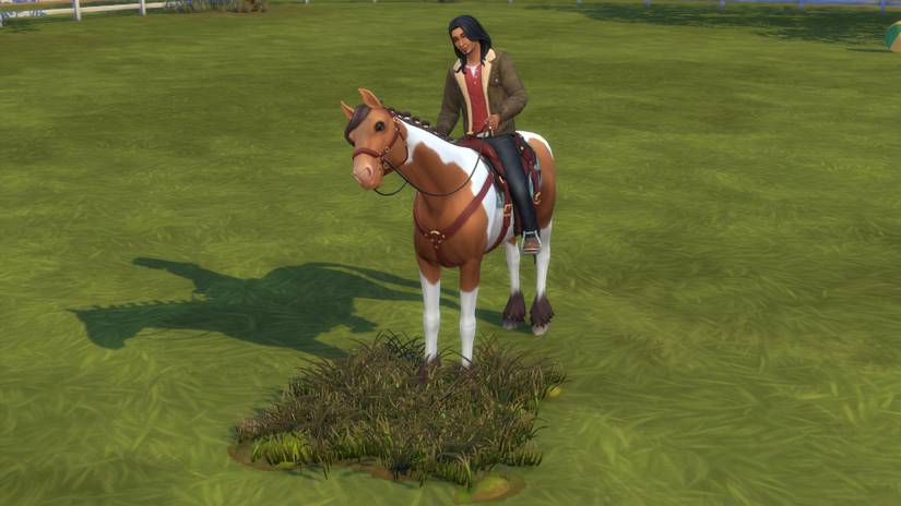 Horse Skills And How To Build Them In The Sims 4 Horse Ranch