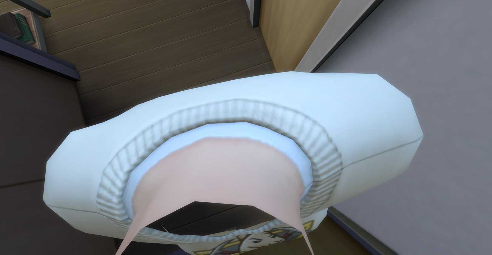 A SIM Missing Falls when looking at them in the first person mode.