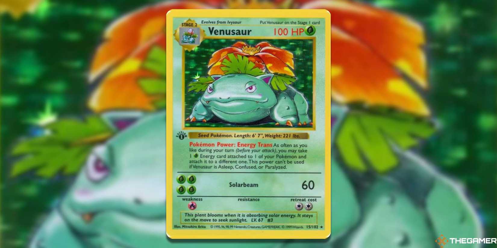 The Most Valuable Base Set Pokemon TCG Cards