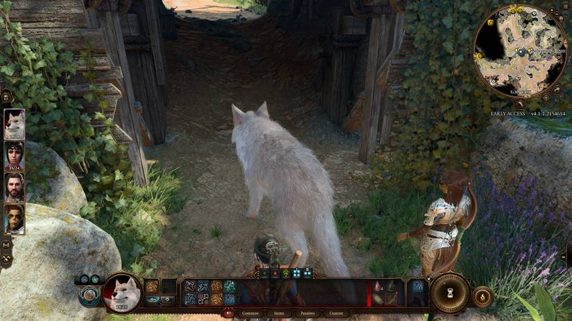 A Complete Guide To Druids In Baldur's Gate 3