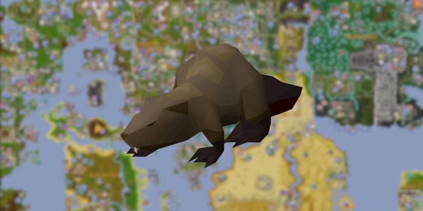 Old School RuneScape: Best Skilling Pets