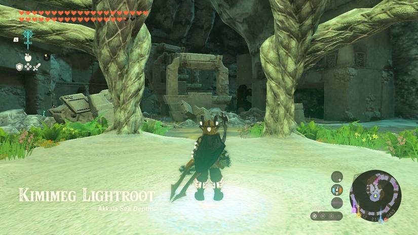 Every Lightroot And Its Coordinates In The Legend Of Zelda: Tears Of ...
