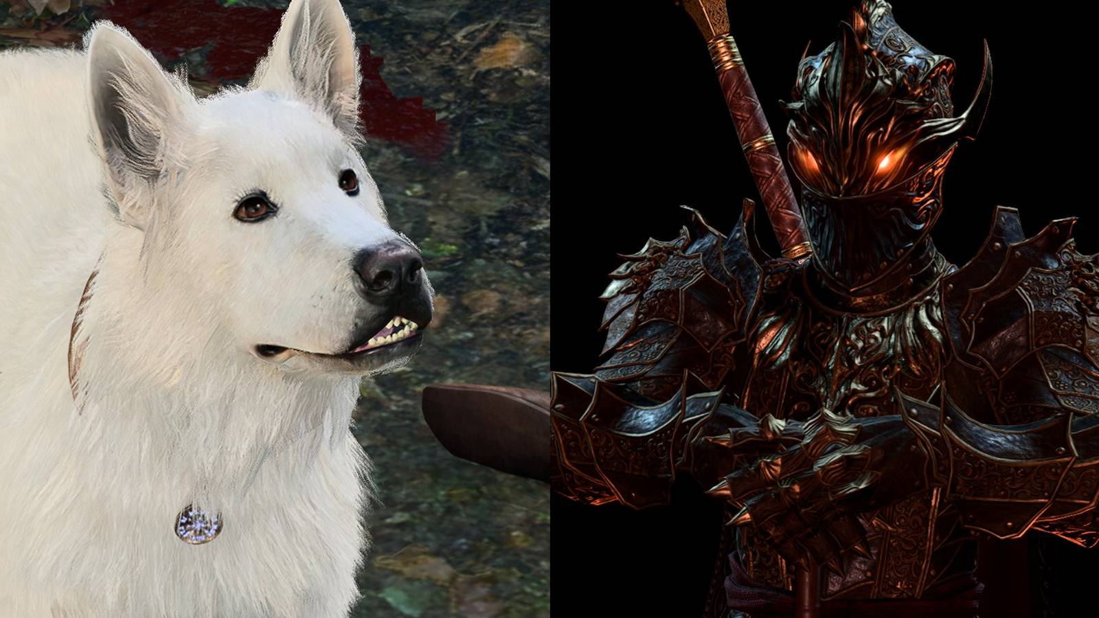 Every NPC That Can Join Your Camp In Baldur's Gate 3
