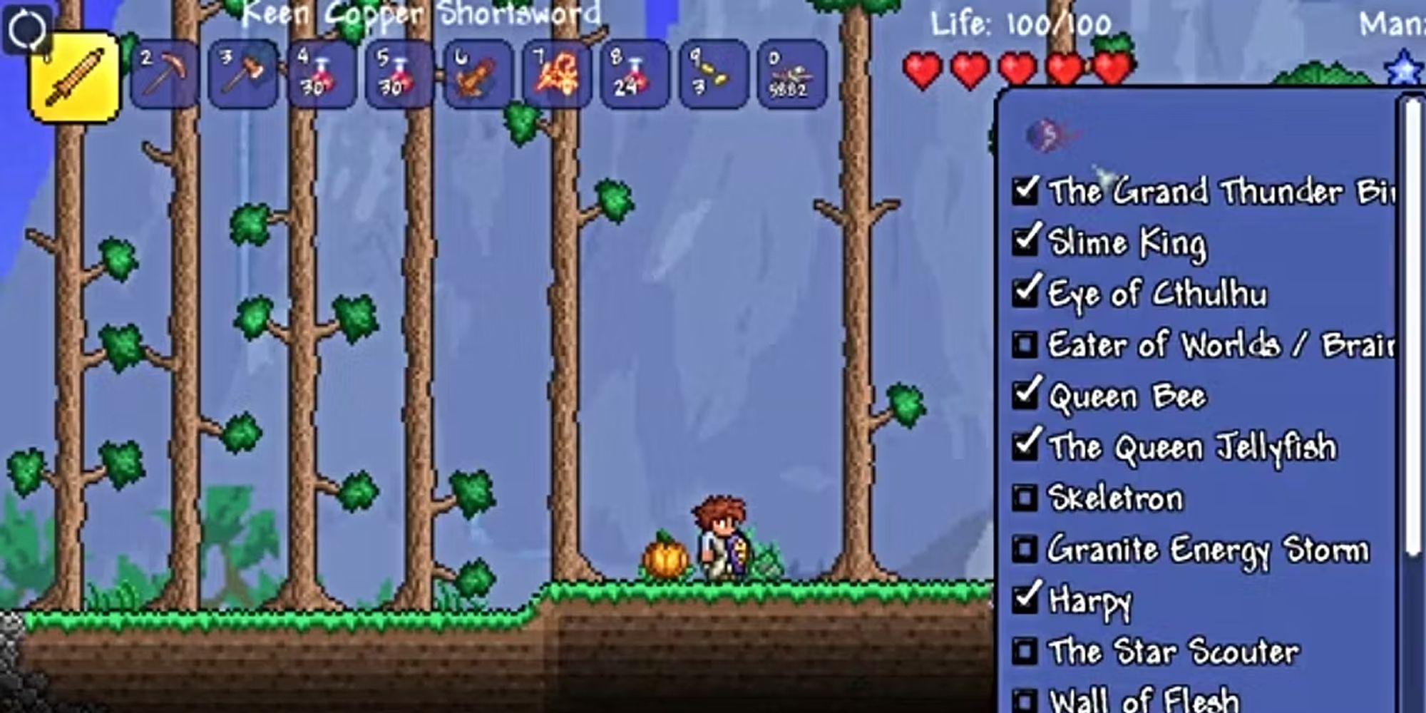 The Best Terraria Mods To Download