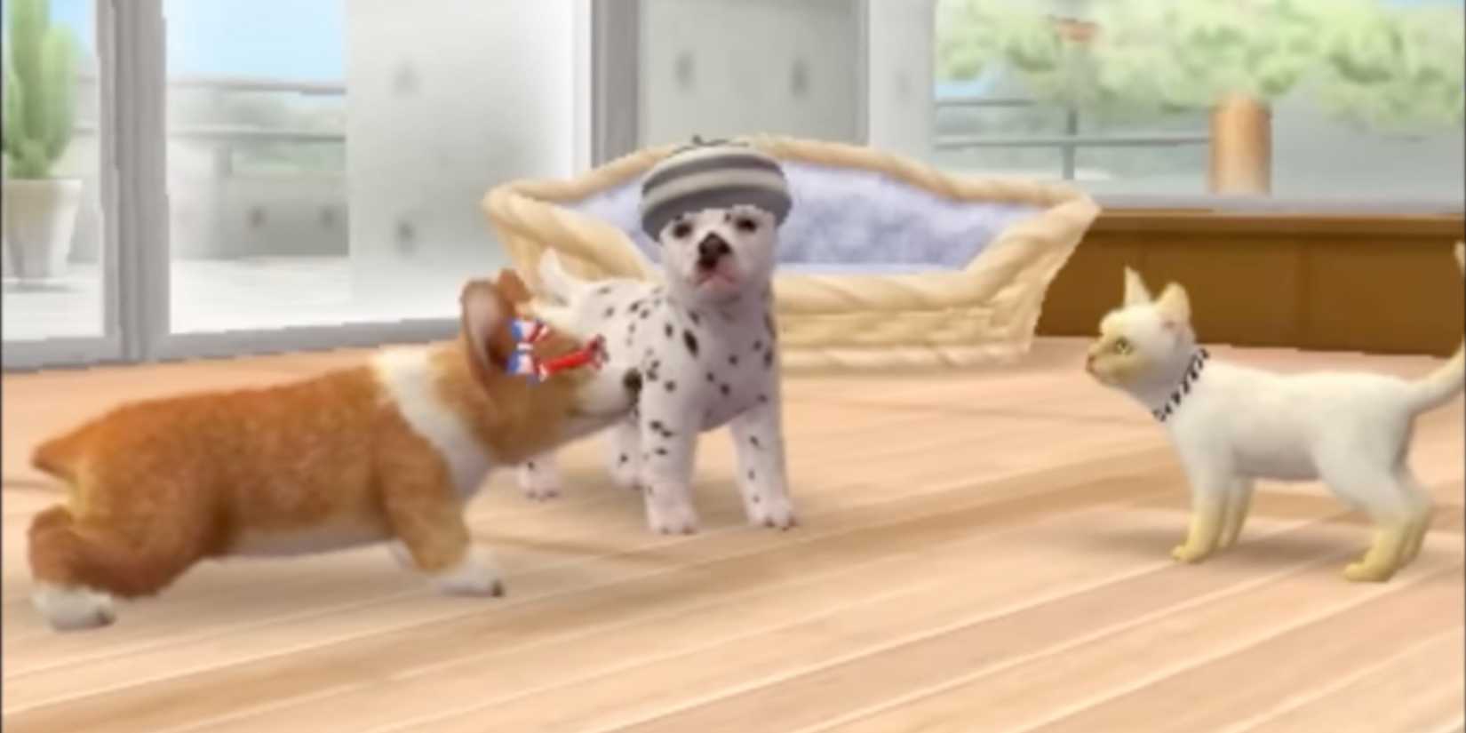 Nintendogs Loading Screen Dormant Nintendo Series That Should Return On The Switch 2