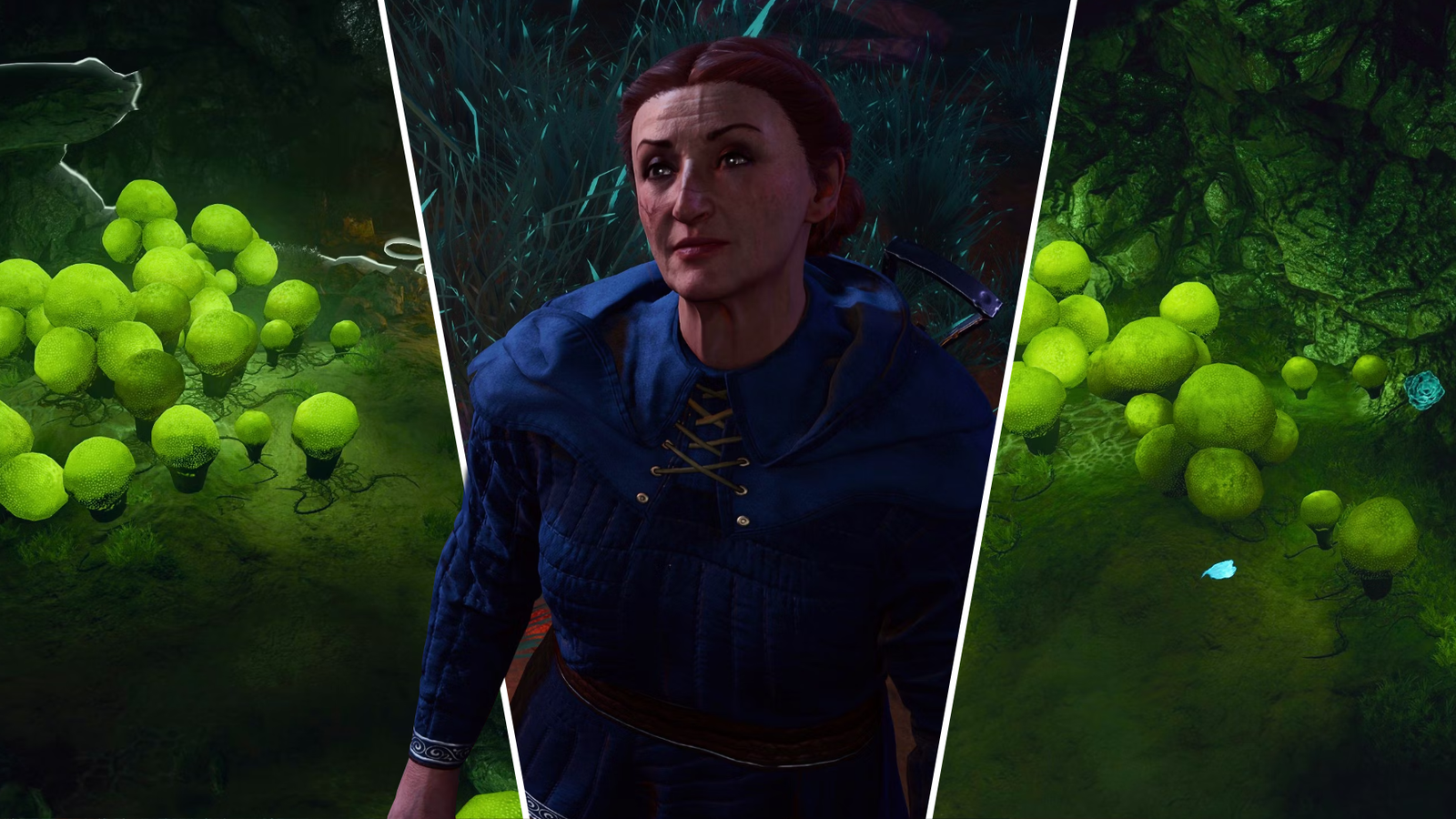 Where To Find Noblestalk In BG3