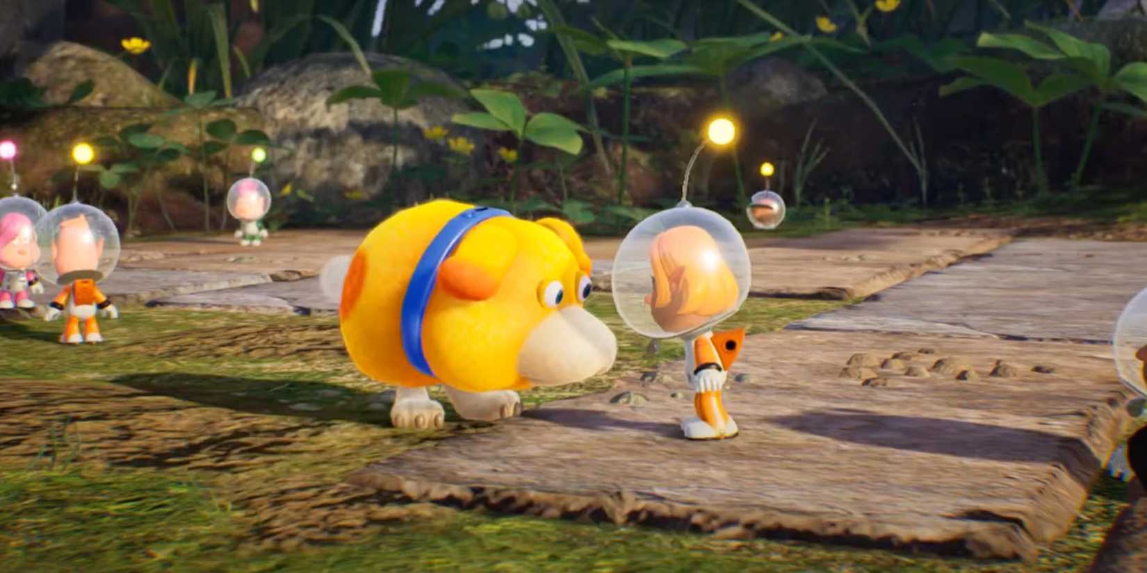 Talk to Prisse Oachi in Pikmin 4