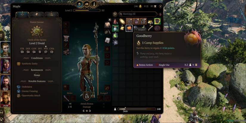 The Best Druid Spells In Baldur's Gate 3