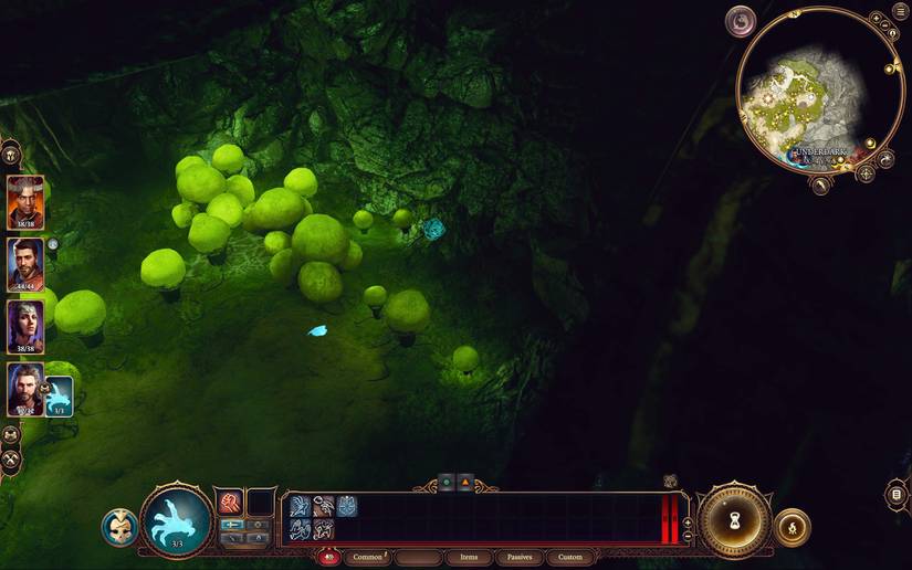 Where To Find Noblestalk In BG3