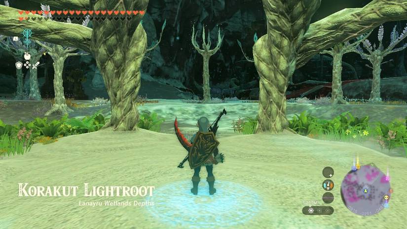 Nuzimak Lightroot Every Lightroot And Its Coordinates In The Legend Of Zelda: Tears Of ...