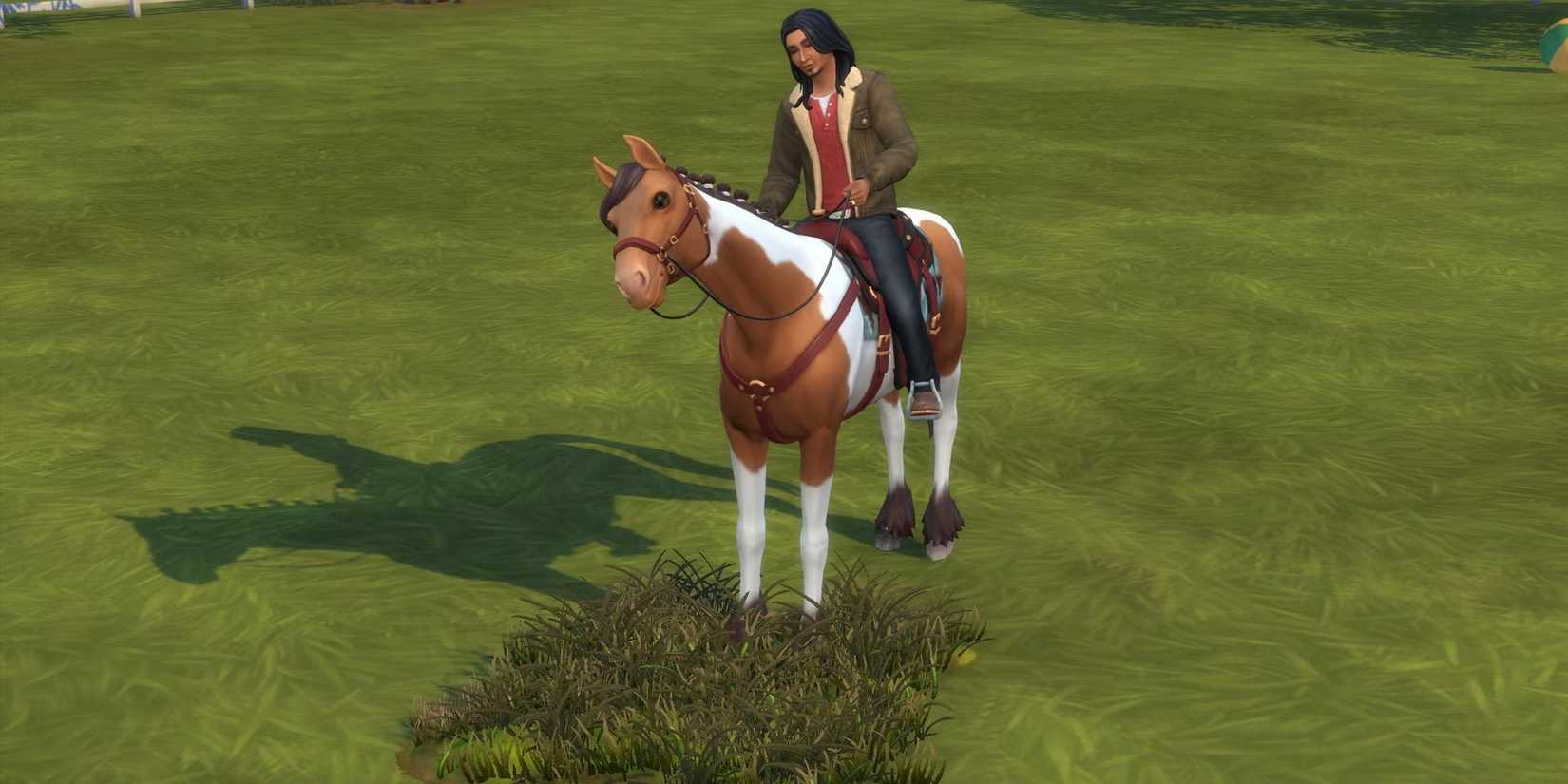 IRL Life Pro Tips I Took From Playing The Sims