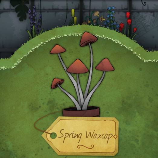All Plant Locations In Strange Horticulture