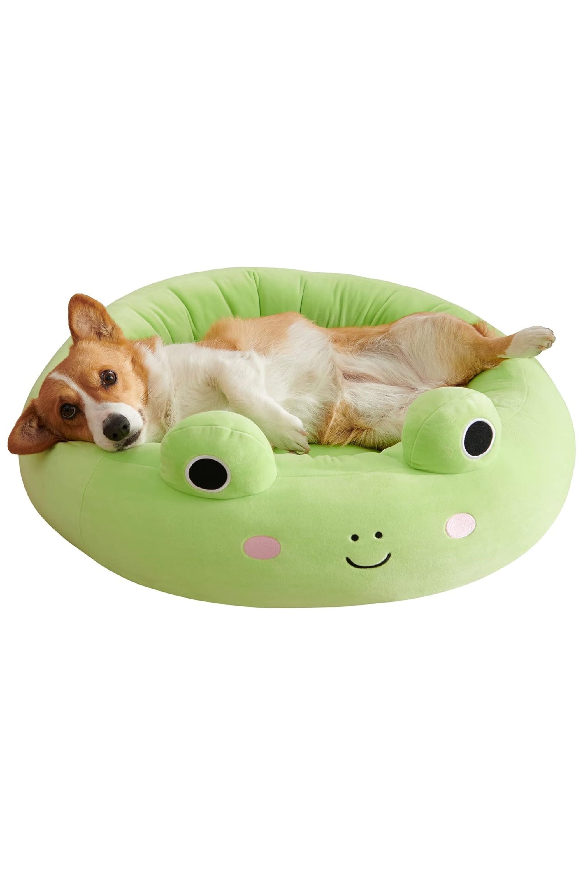 https://static0.thegamerimages.com/wordpress/wp-content/uploads/2023/08/wendy-the-frog-squishmallow-pet-bed.jpg