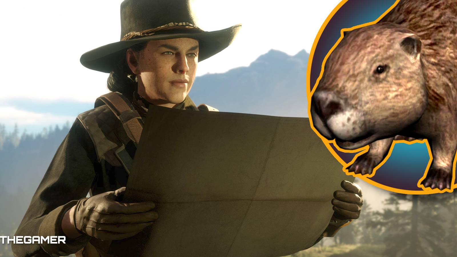 Where To Find Beavers In Red Dead Online