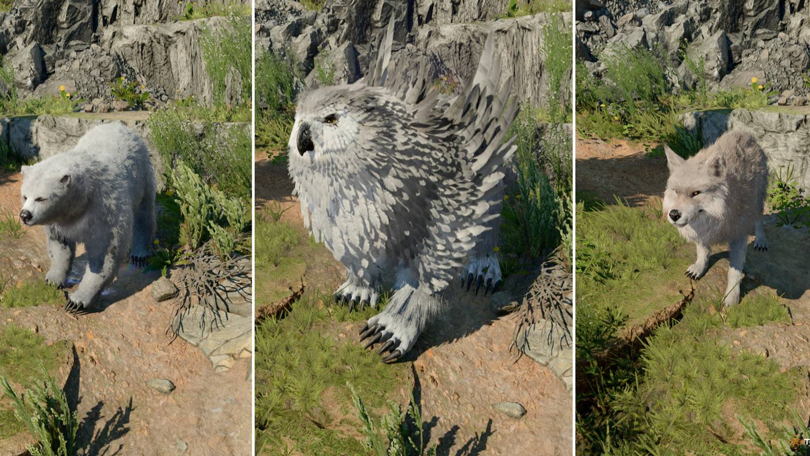 The Best Wild Shape Forms In BG3