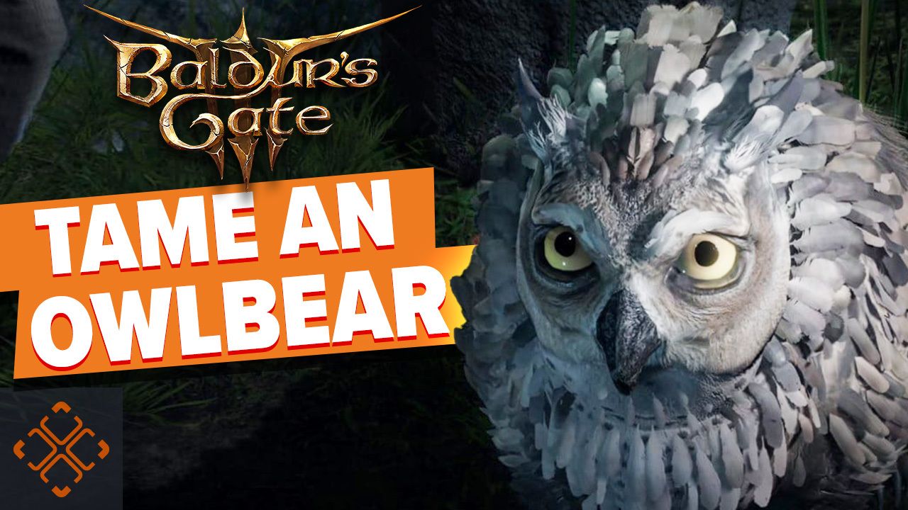 How To Get The Owlbear Cub In Baldur's Gate Dexerto, 48% OFF