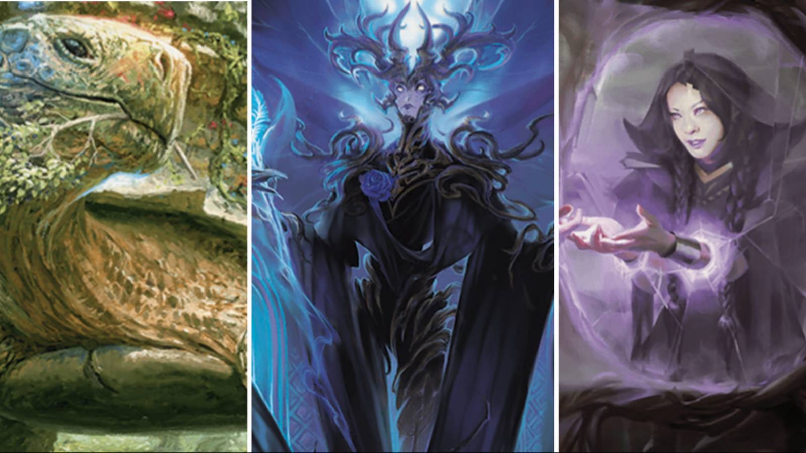 Most Valuable Wilds Of Eldraine Cards In MTG