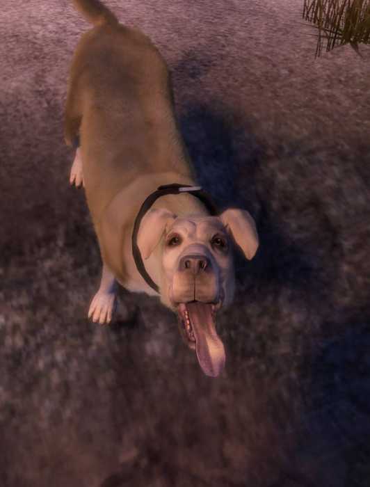 Fable Morphing Fable Doesn't Have Morality Based Character Morphing
