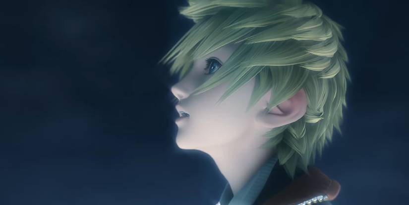 The Origins Of Organization XIII In Kingdom Hearts, Explained