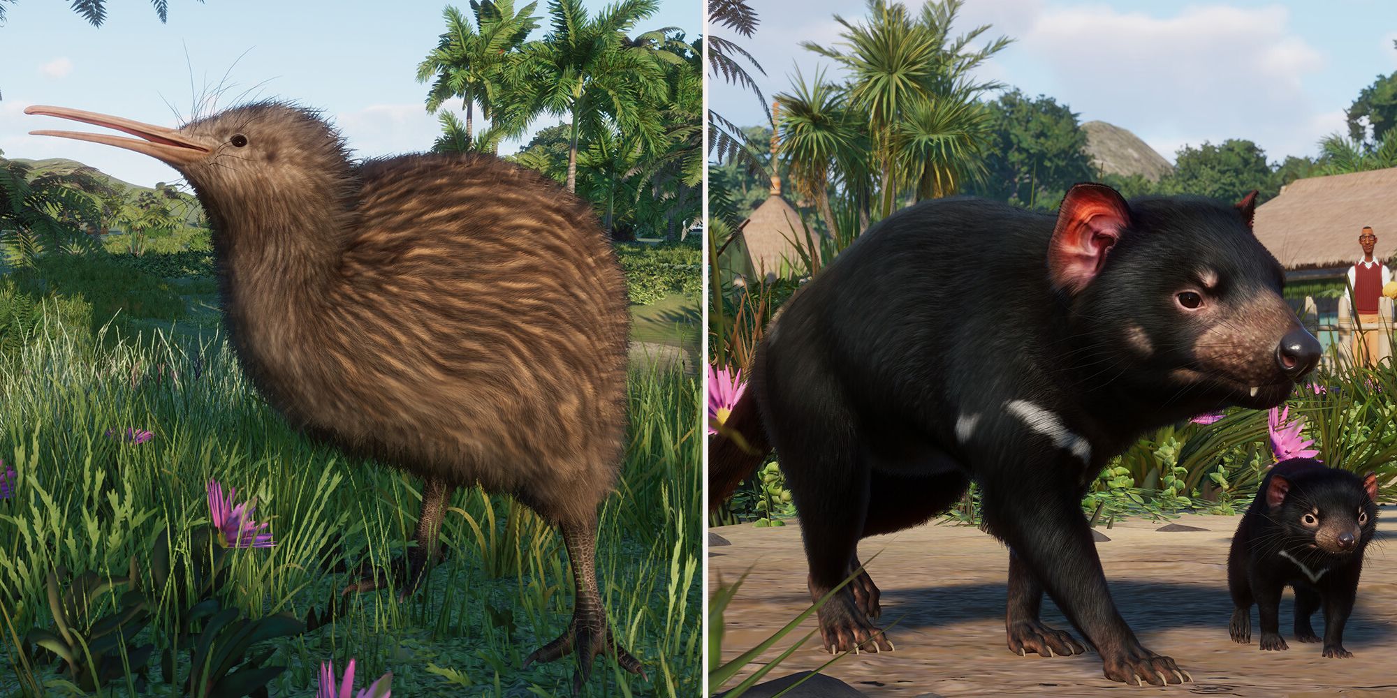 planet-zoo-oceanic-pack-kiwi-