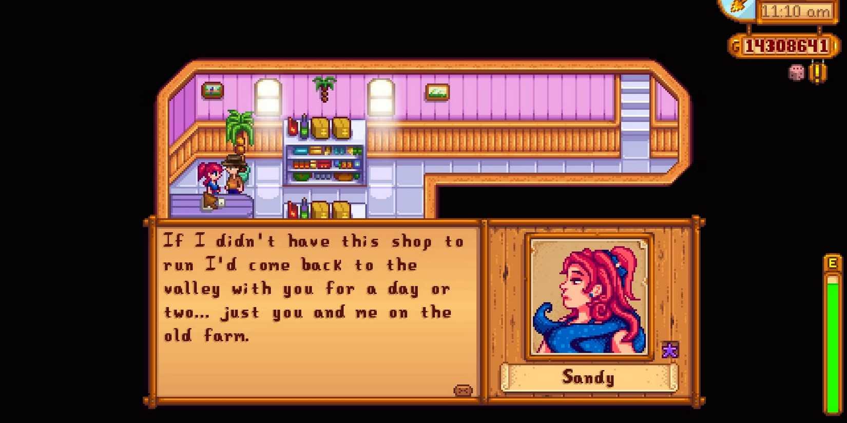 Sandy waxing poetics about the valley in stardew valley.