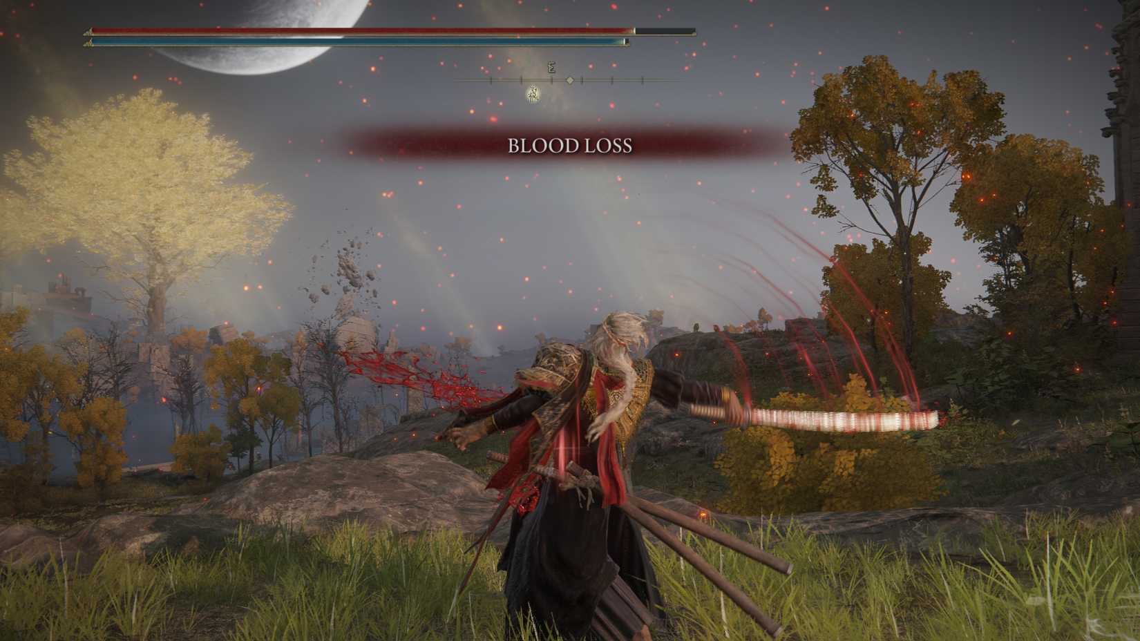 The tormentor uses Seppuku Ash of War in the fire ring.