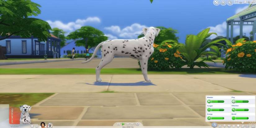 The Best Horse Ranch Mods In The Sims 4