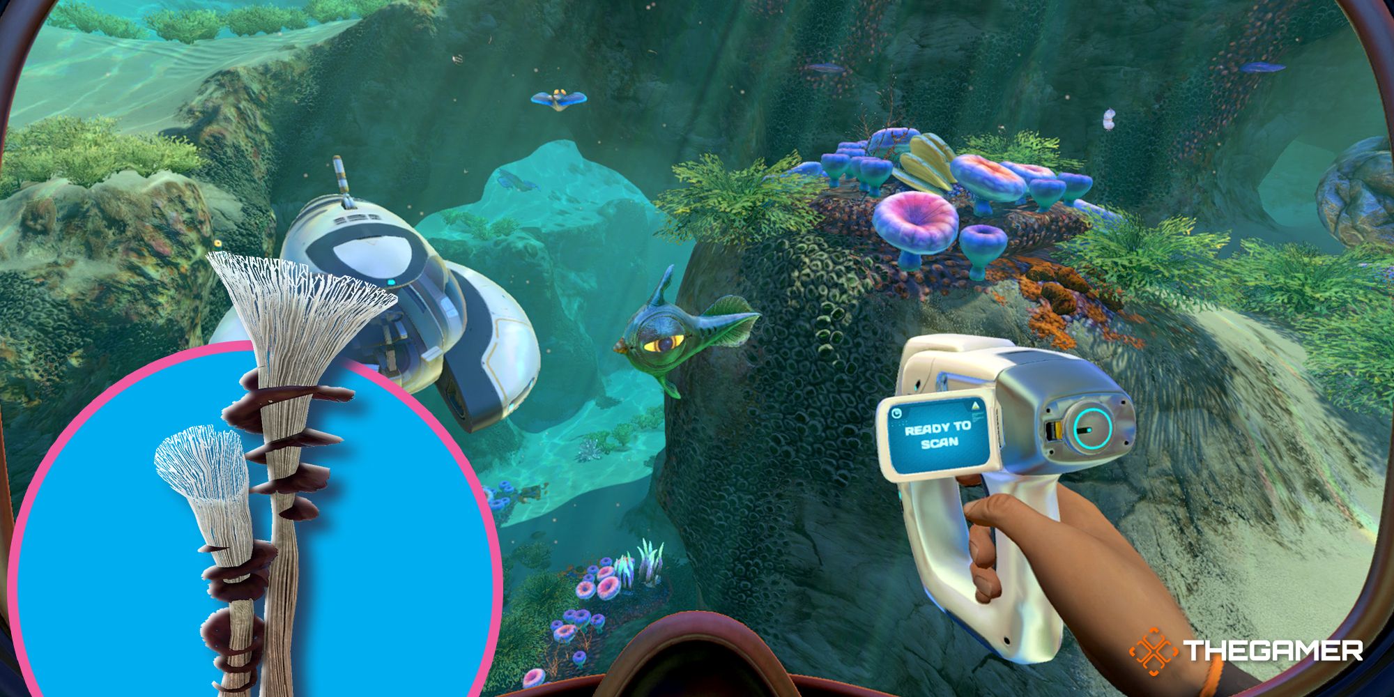 How To Get The Spiral Plant Clipping In Subnautica: Below Zero