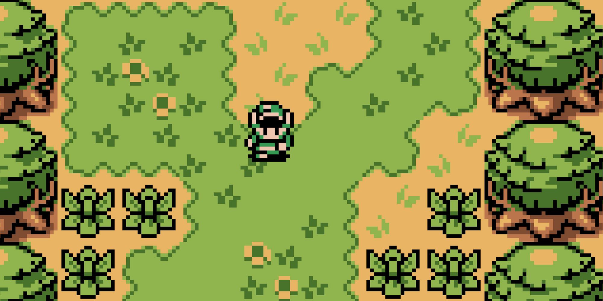 Every The Legend Of Zelda Game, Ranked By How Much Screentime Zelda ...