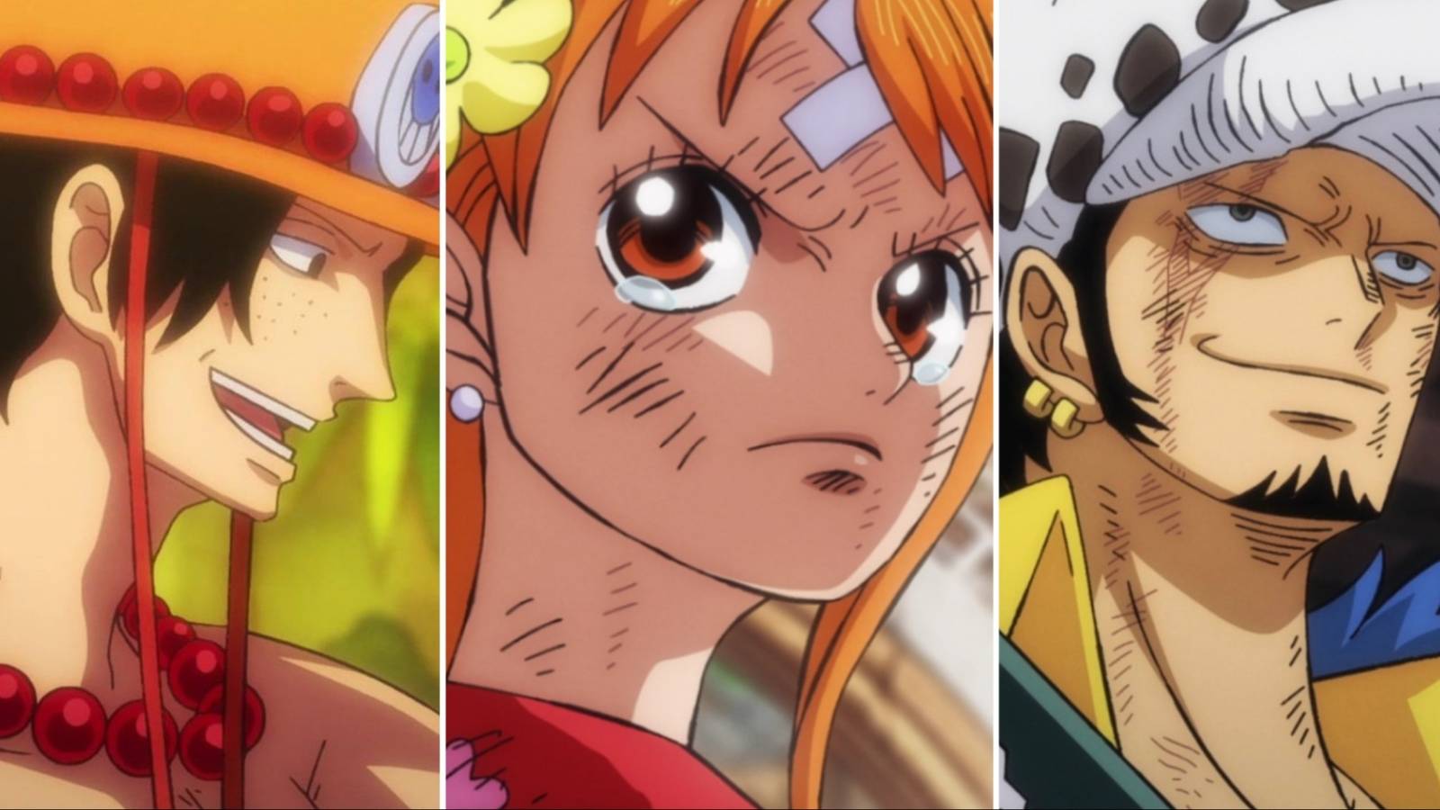ace nami and law featured image one piece