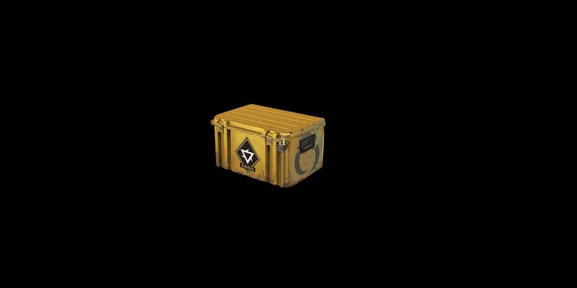 The Best Cases To Open In CS2