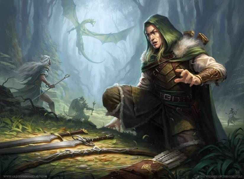 Elves In The 2024 PHB - DND