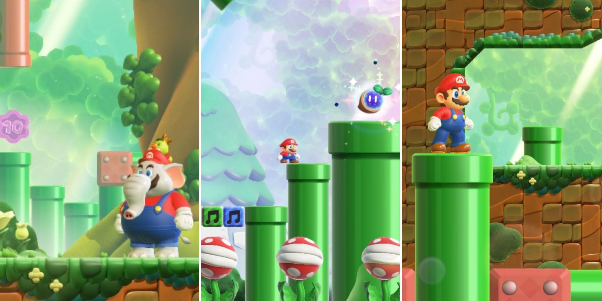 How Do You Get All Coins and Flowers In Piranha Plants On Parade In Super  Mario Wonder?