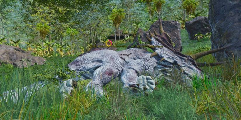 Complete Triceratops Taming Guide In Ark: Survival Ascended