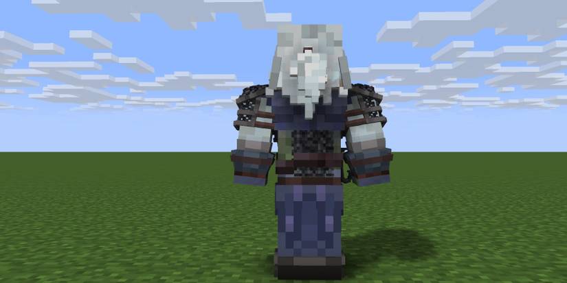 Minecraft The Witcher Skin