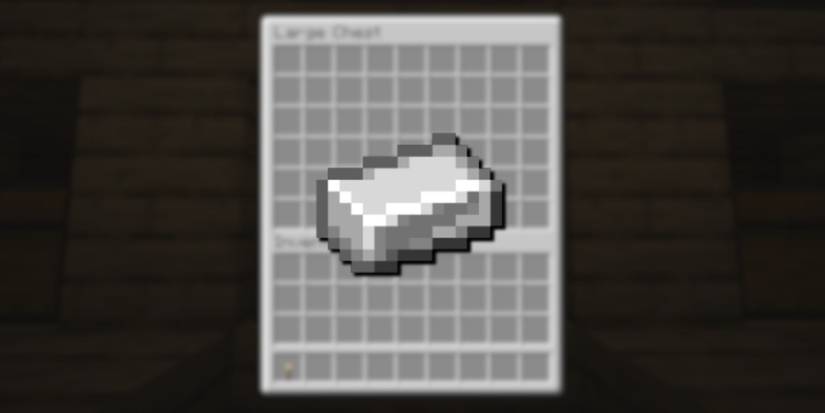 The Rarest Loot In To Find In Woodland Mansions In Minecraft