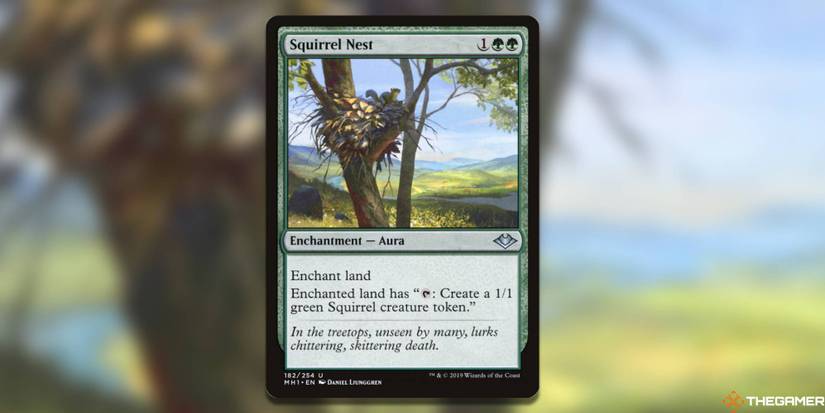 The Best Cards For A Squirrel Commander Deck In MTG The Best Cards For A Squirrel Commander Deck In MTG
