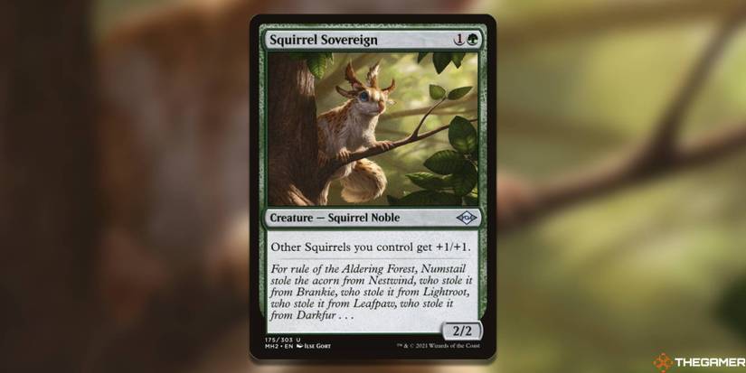 The Best Cards For A Squirrel Commander Deck In MTG The Best Cards For A Squirrel Commander Deck In MTG