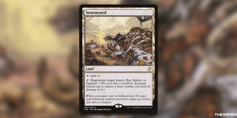 The Best Cards For A Squirrel Commander Deck In MTG The Best Cards For A Squirrel Commander Deck In MTG