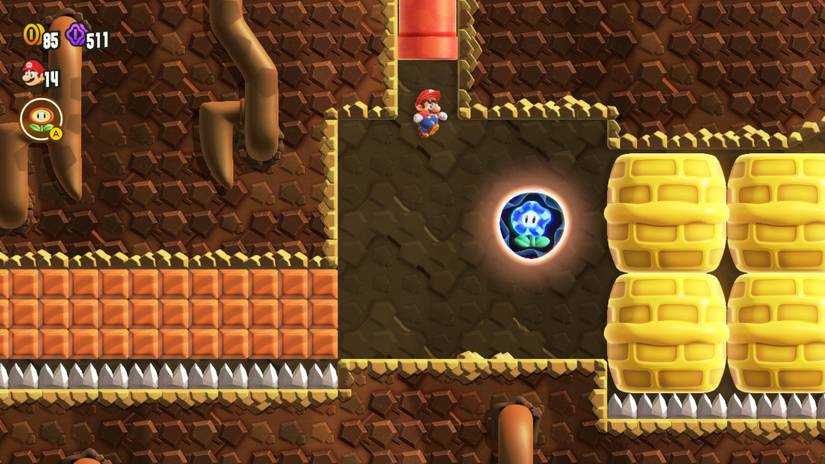 All Flower Coins And Wonder Seed Locations In Bulrush Express In Super ...