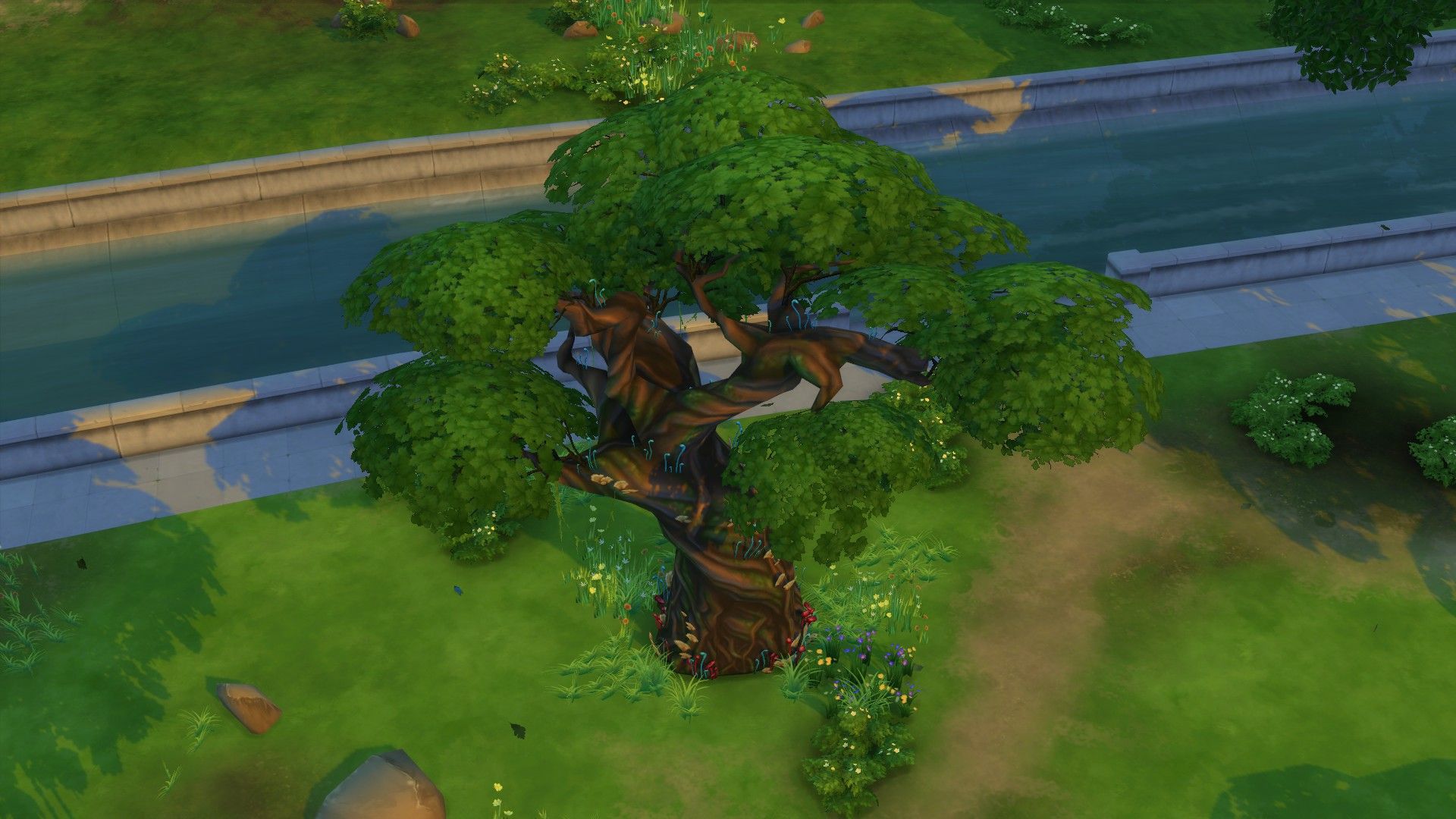 What Are The Answers To The Sylvan Glade In The Sims 4?