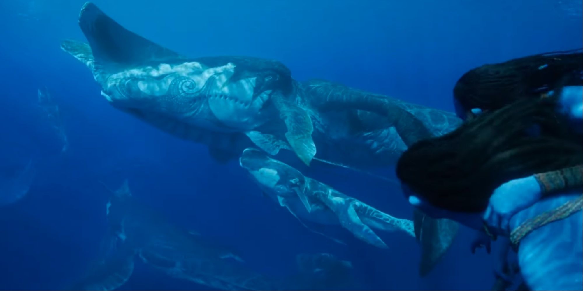 What Is A Tulkun In Avatar: The Way Of Water?