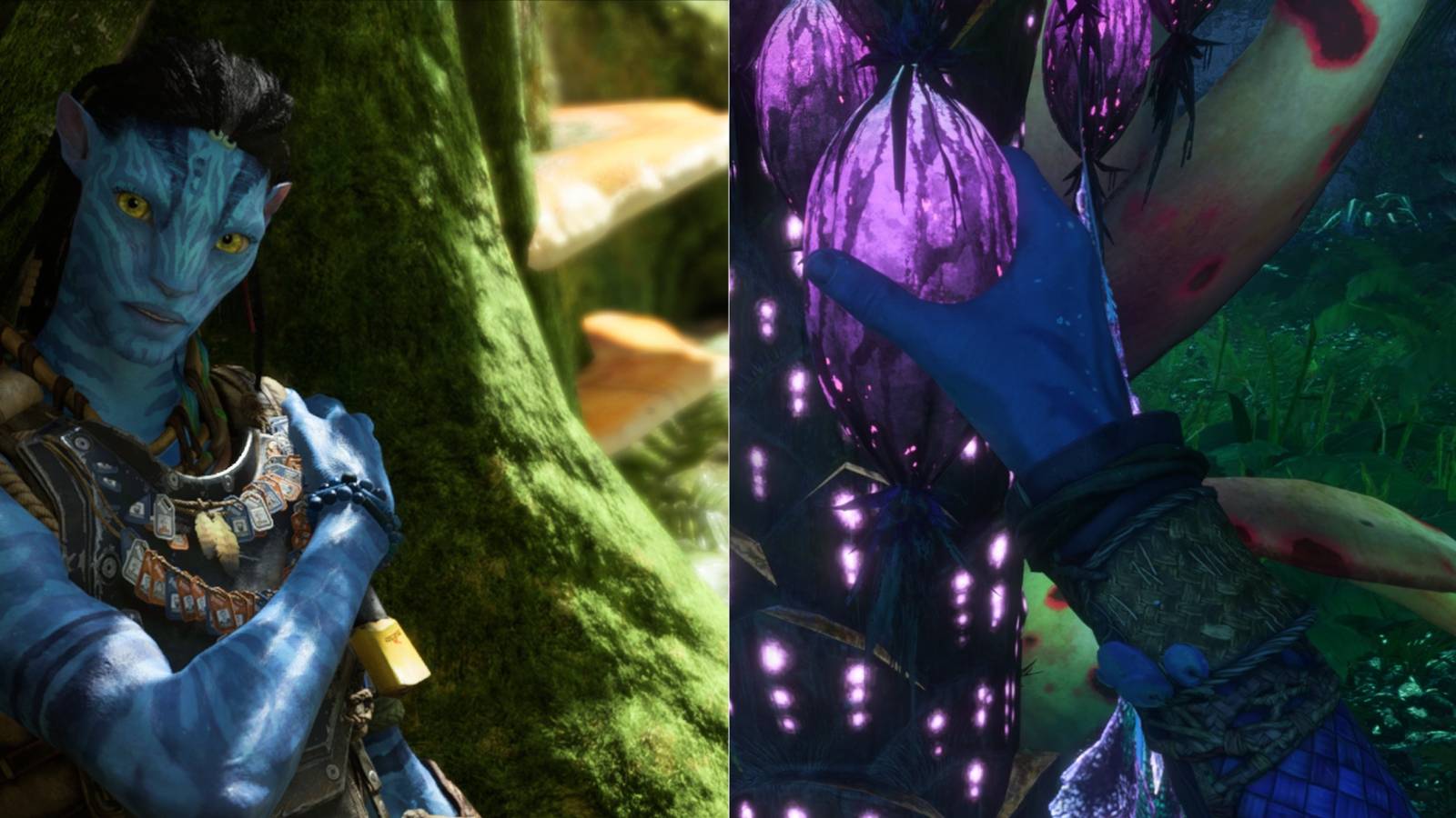 How To Get And Use Na'vi Senses In Avatar: Frontiers of Pandora