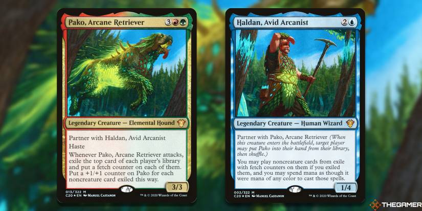 mtg commander dog deck Cats & Dogs - Rin and Seri, Inseparable