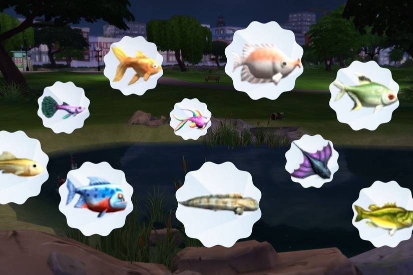 Sims 4 Fish Computer Every Fish You Can Get In The Sims 4