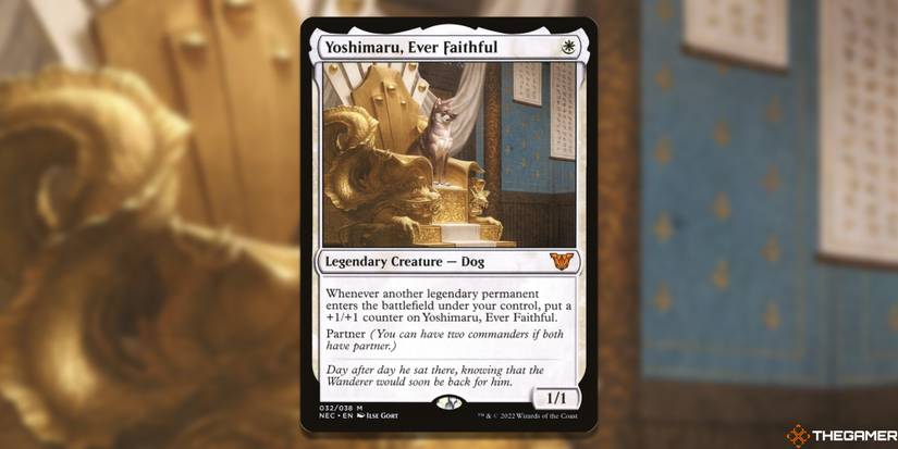 The Best Dog Kindred Commanders In MTG The Best Dog Kindred Commanders In MTG